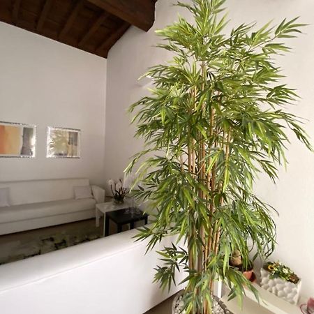 Suite Saffi 99 Viterbo Exterior foto